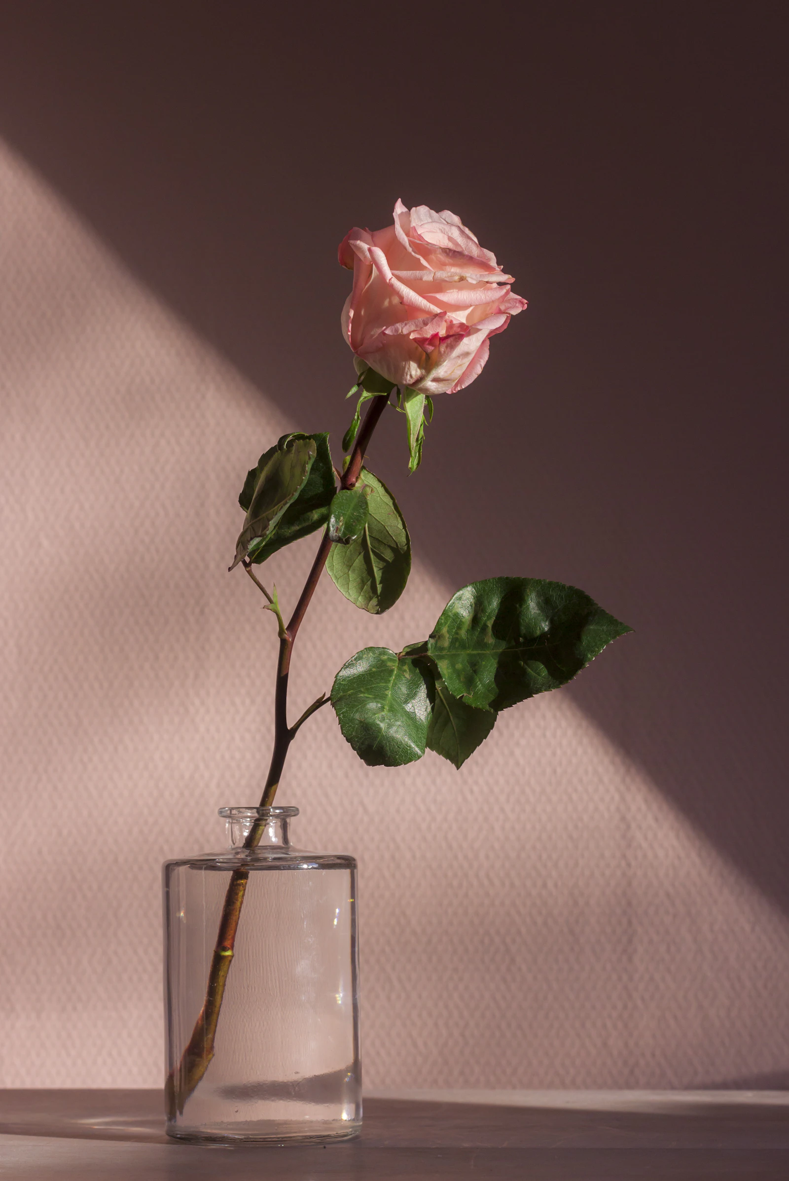 Dettaglio di uno studio di trucco, rosa in un piccolo vaso di vetro